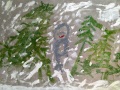 IMG_20220518_164740