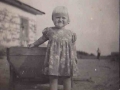 Amuras apgabals 1949, Tigda un Vozzajevka